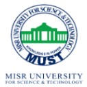 Scholarships Programme at Misr University for Science and Technology, Egypt
